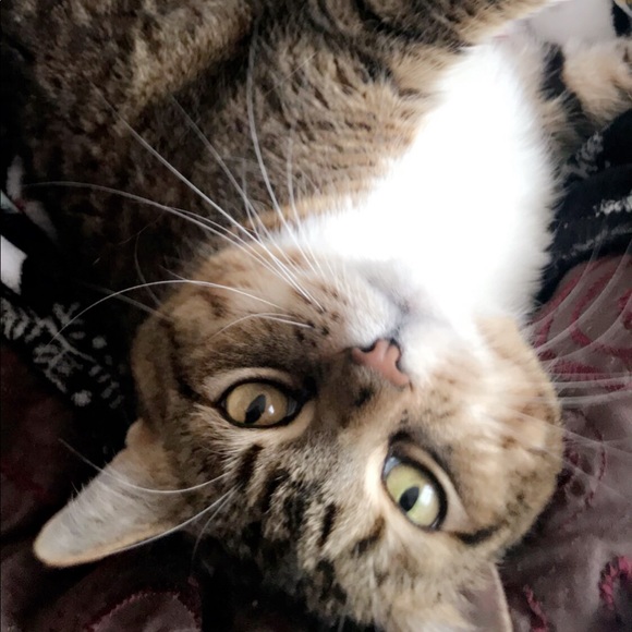 Thank you for shopping with me! Offers welcome! - Picture 5 of 16